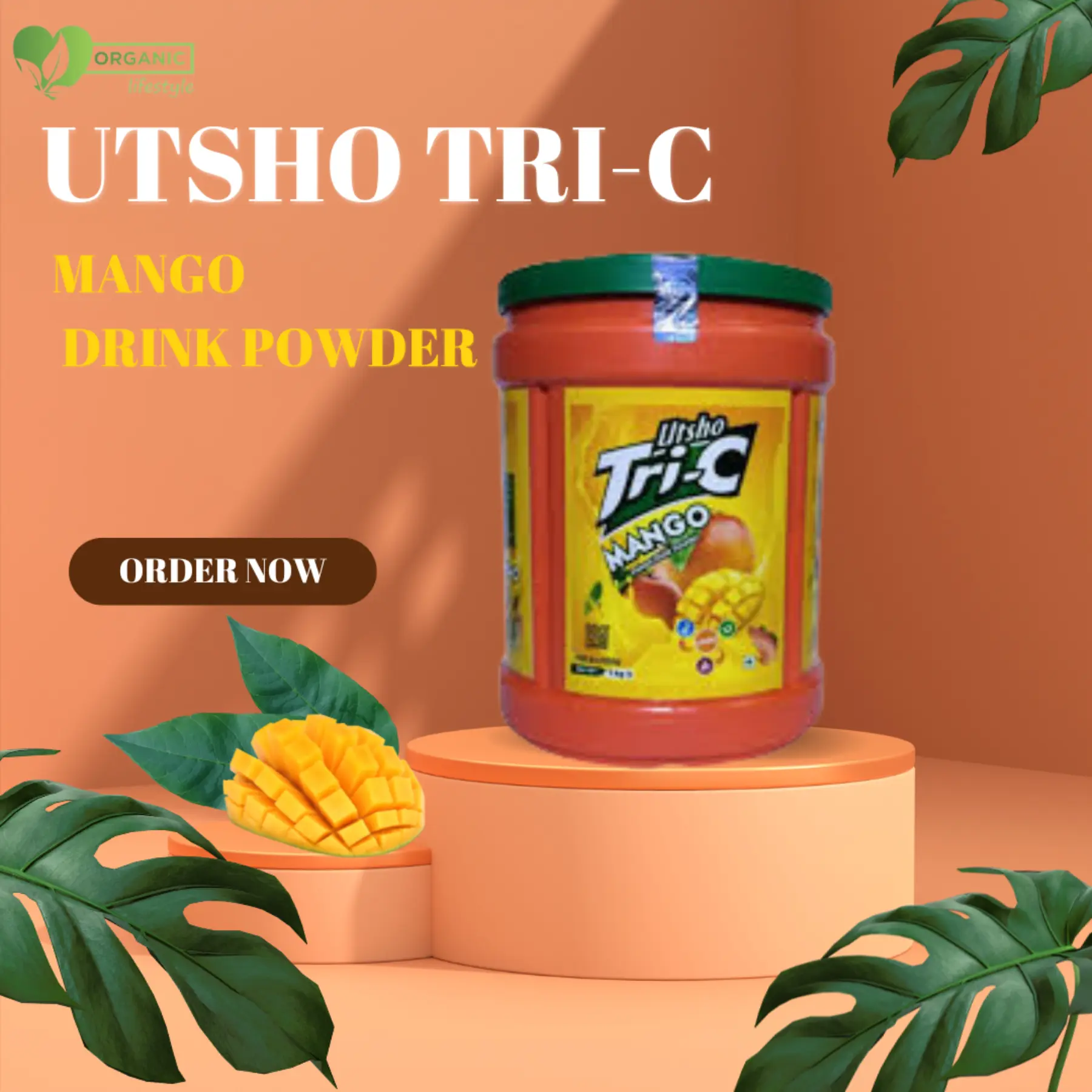 Mango Instant Drink Powder