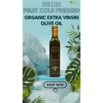 First Cold Pressed Olive Oil Price