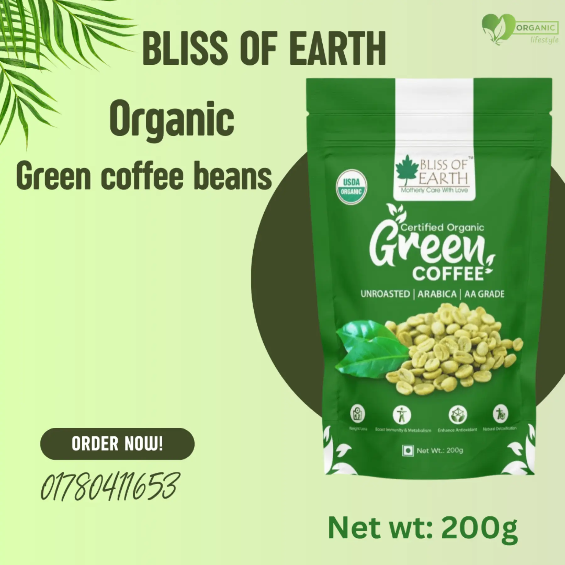 Organic Green coffee Beans price