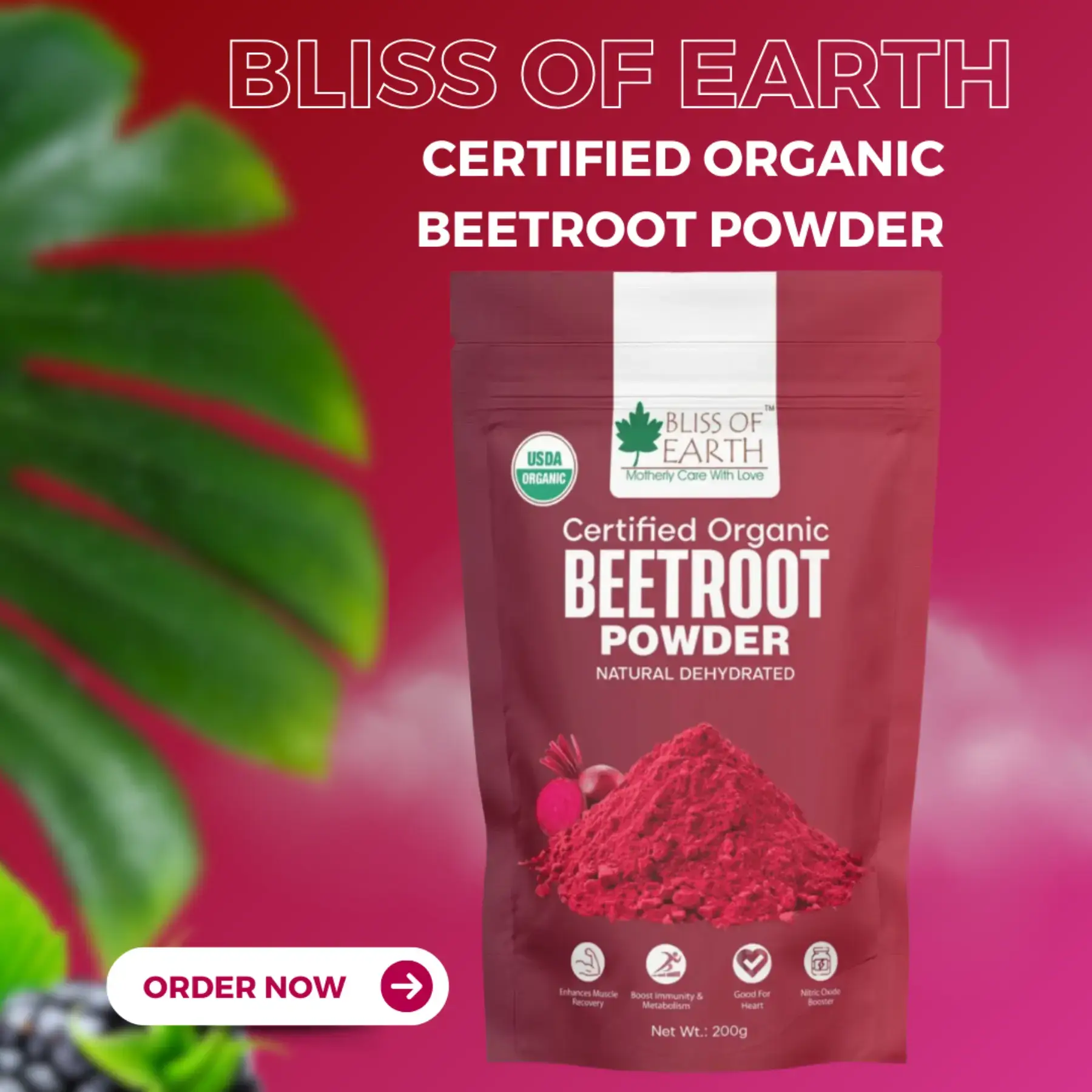 Organic Beetroot Powder price