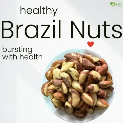 Brazil Nuts price in bd