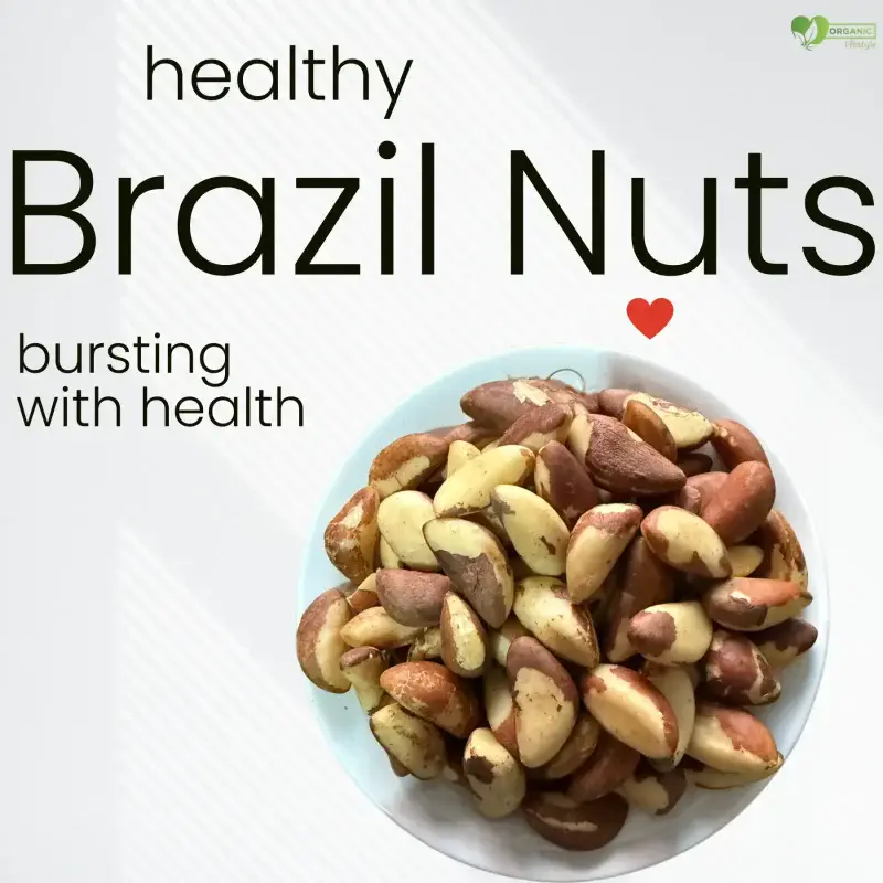 Brazil Nuts price in bd