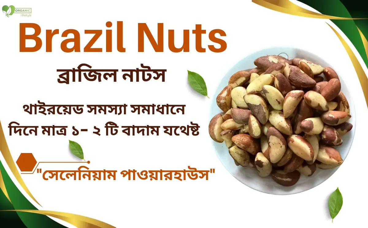 Brazil Nuts in Bangladesh
