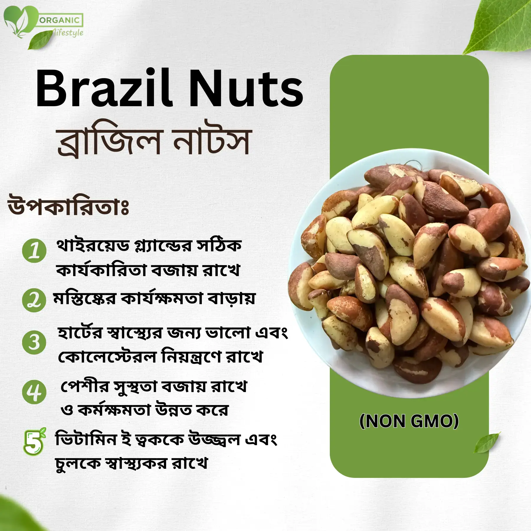 Brazil Nuts benefits in bangla