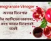হৃদপিণ্ড সুস্থ রাখার জন্য পোমেগ্রানেট ভিনেগার