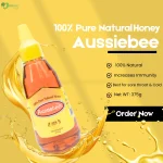 Aussiebee 100% Pure Natural Honey price in BD