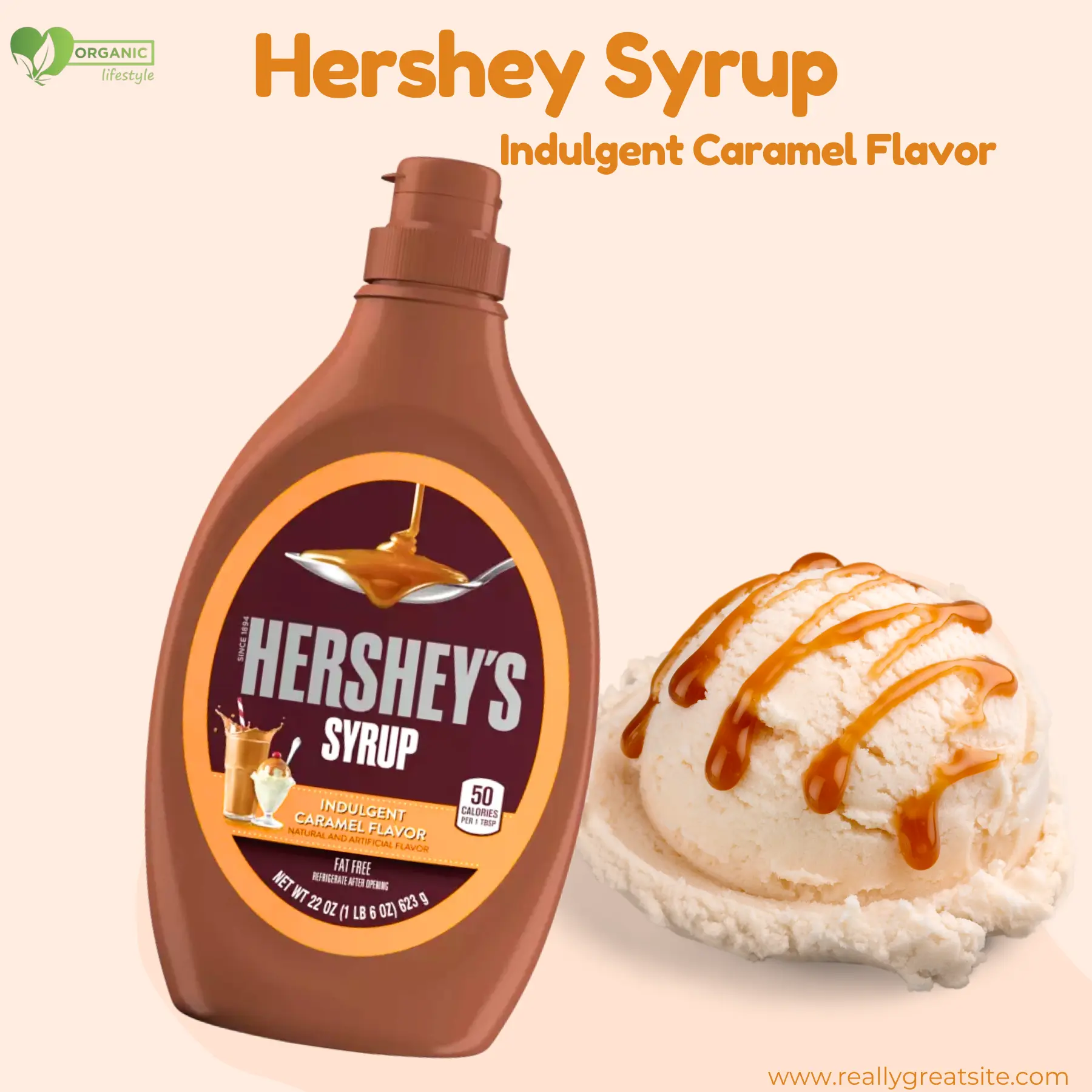 Hershey’s Syrup Indulgent Caramel Flavor-623g price in Bangladesh