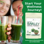 Organic barley Grass Powder price in Bangladesh