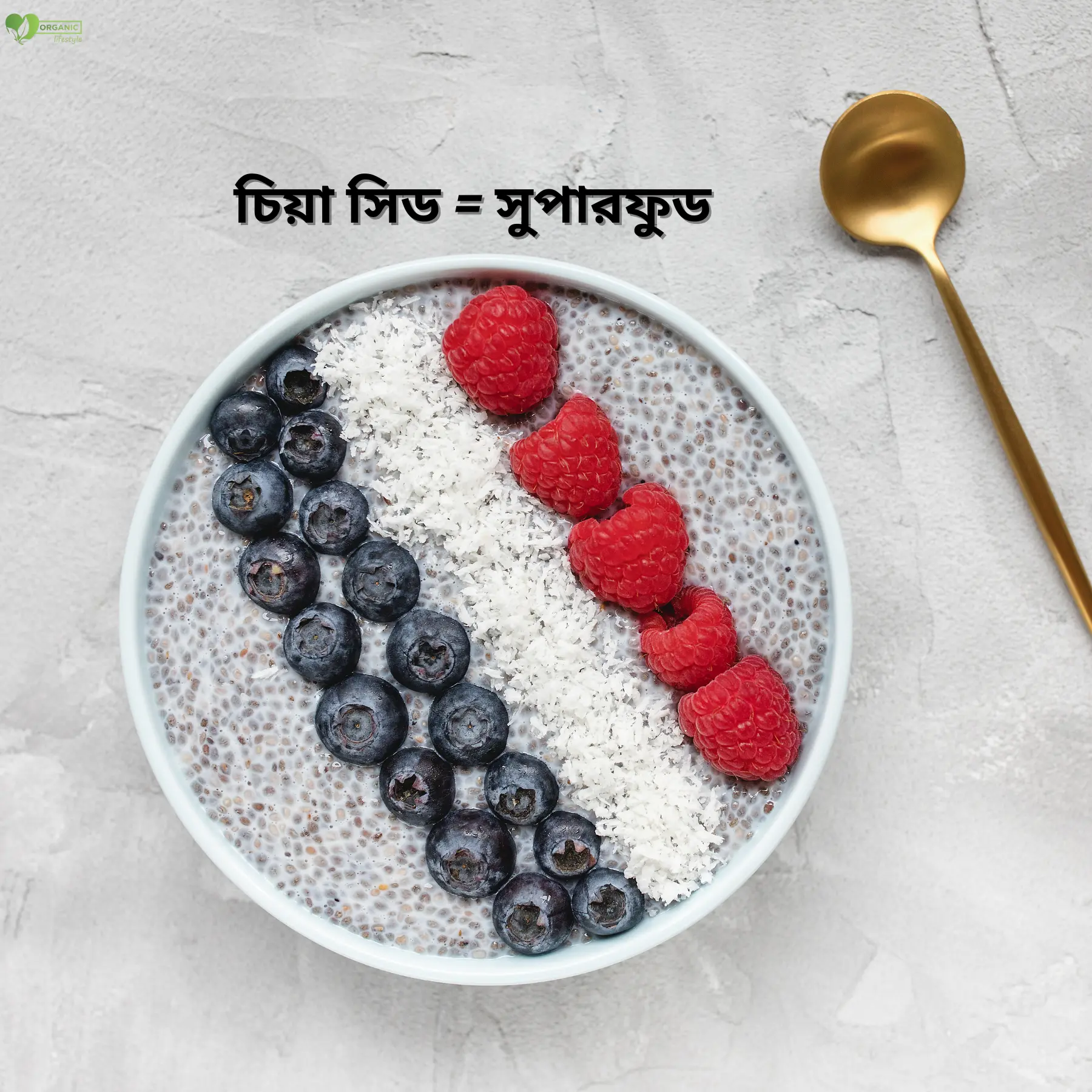 চিয়া সিড খাওয়ার আগে অবশ্যই জানুন! অবাক করা ১০টি উপকারিতা, সঠিক খাওয়ার নিয়ম ও সতর্কতা