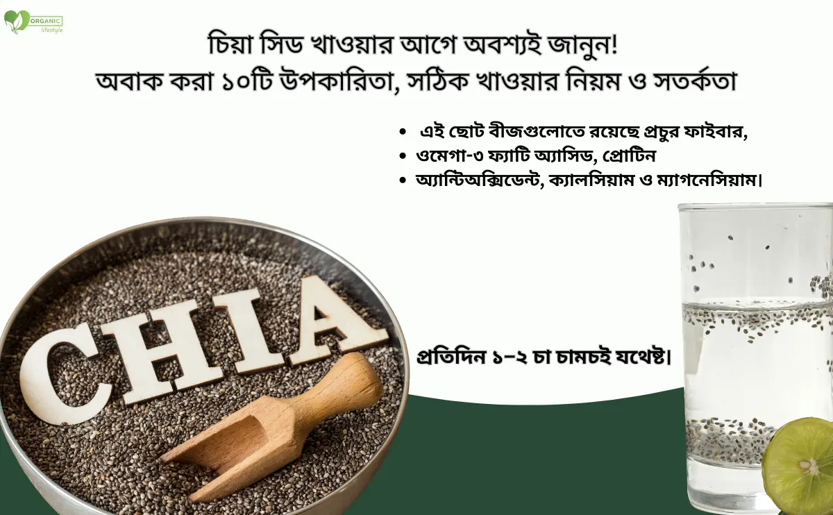 চিয়া সিড খাওয়ার আগে অবশ্যই জানুন! অবাক করা ১০টি উপকারিতা, সঠিক খাওয়ার নিয়ম ও সতর্কতা
